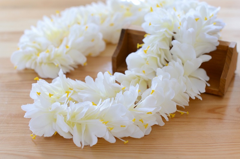 タヒチアンダンスイメージ